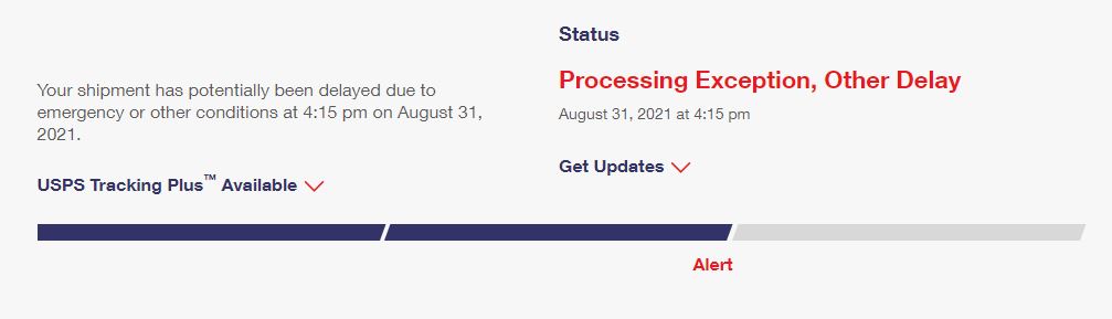 Processing exception, other delay